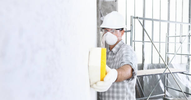 Best Mold Odor Removal Services  in USA